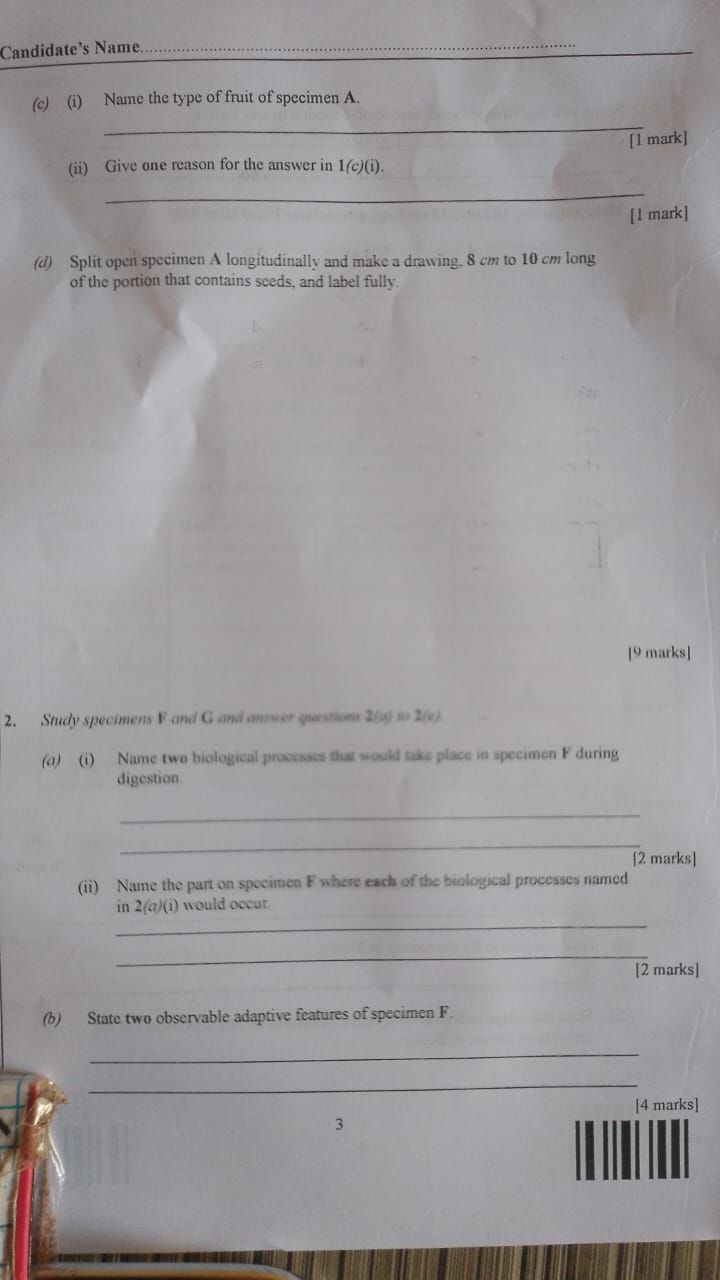 WAEC 2026 Biology 3 Practical question paper page 2
