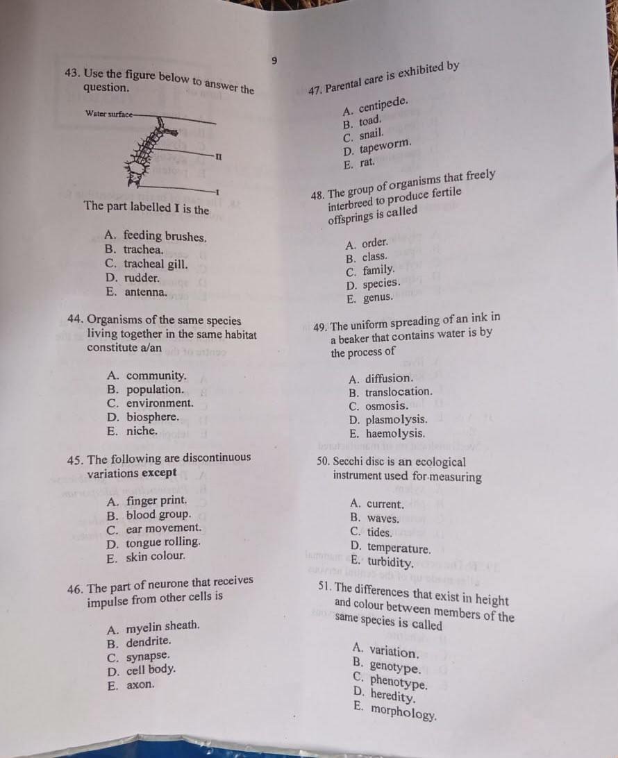 NECO 2026 Biology question paper page 6